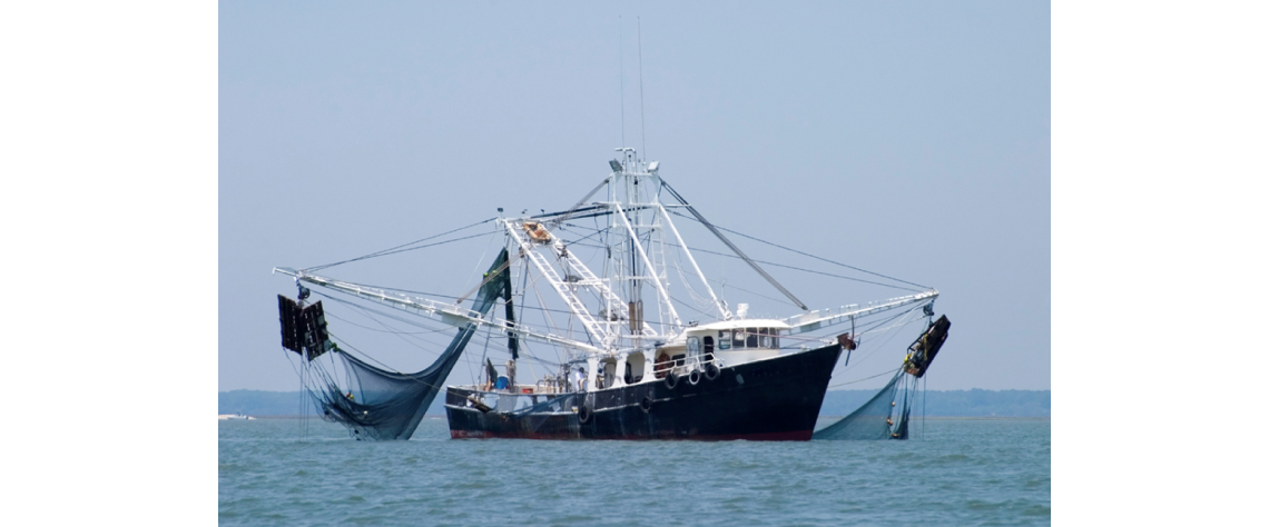 barco pesca