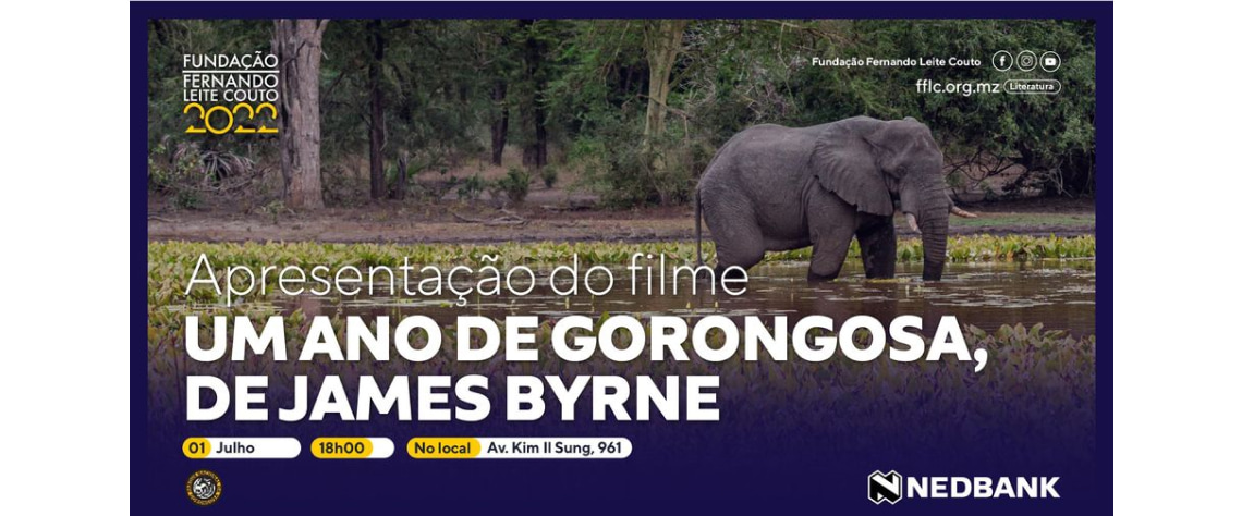 cartaz gorongosa min