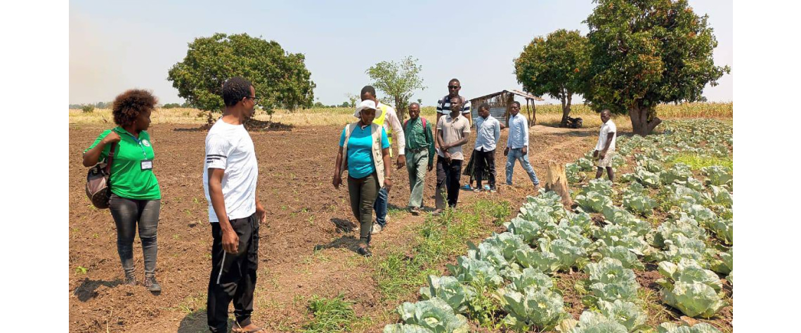 jovens agricultura rural min