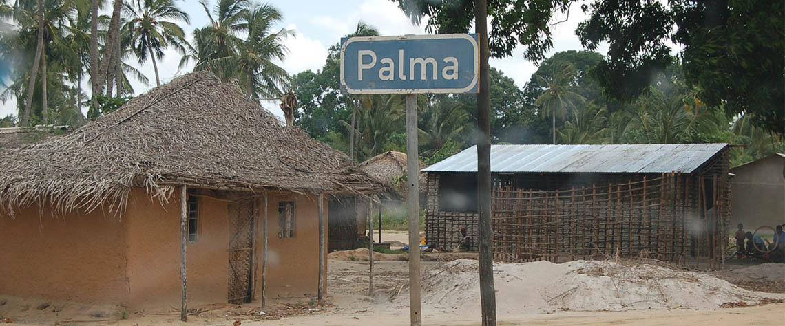 palma0307