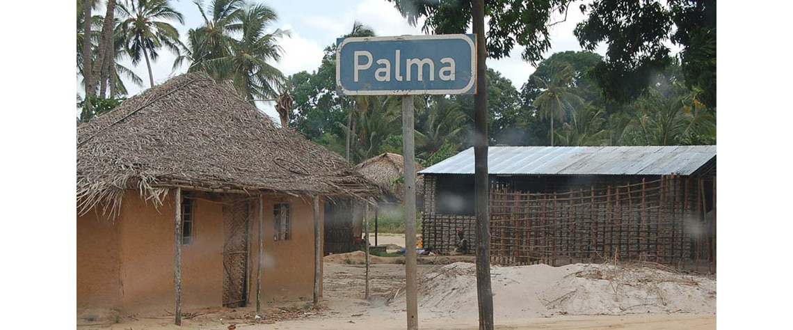 palma moz min