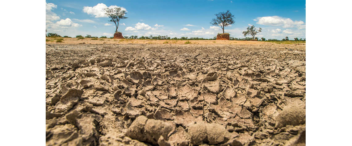 INAM alerta para risco de seca em sete províncias e acciona planos de resposta antecipada